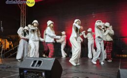 Działdowski Jarmark Świąteczny 2025