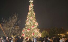 Działdowski Jarmark Świąteczny 2025