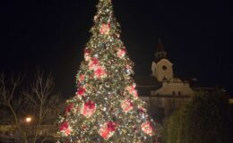 Działdowski Jarmark Świąteczny 2025