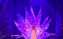 Kapela Malinorze, Św. Mikołaj i artyści ze Szkoły Muzyki i Tańca Art Music w świątecznej odsłonie