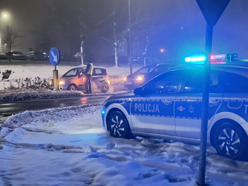policyjny radiowóz i policjant kontrolujący auta / fot. policja