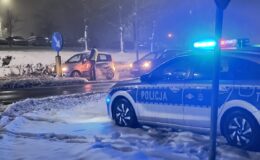 policyjny radiowóz i policjant kontrolujący auta / fot. policja