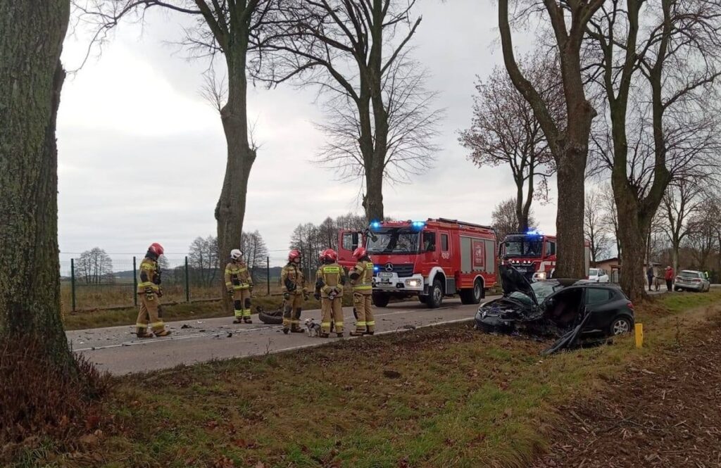 miejsce zdarzenia drogowego w Filicach, widać rozbity samochód, służby ratunkowe / fot. policja