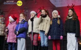 Działdowski Jarmark Świąteczny 2025