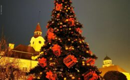 choinka, która stoi przed Ratuszem w Działdowie