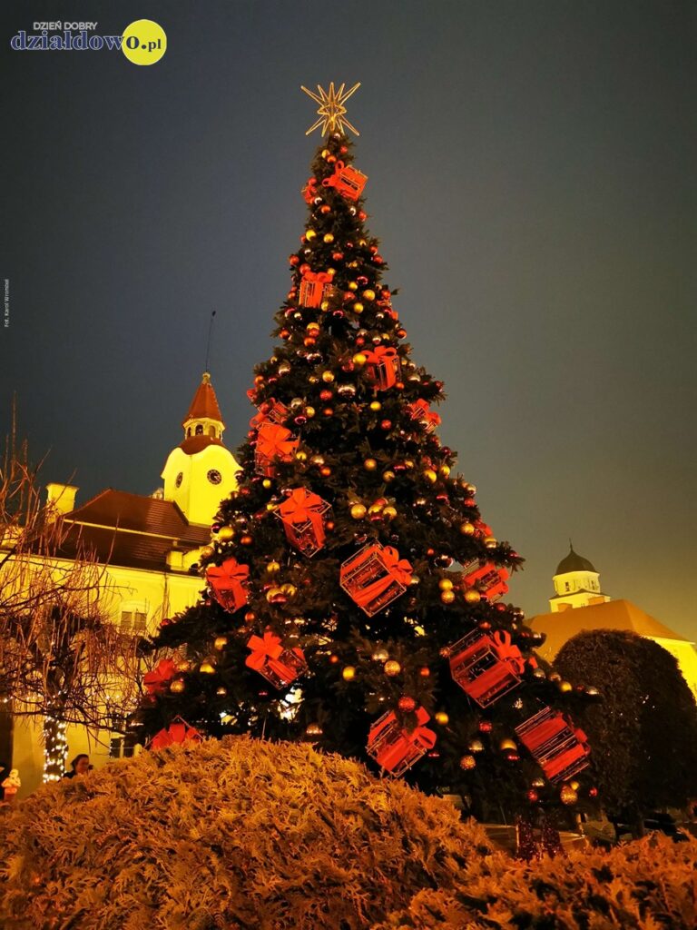 choinka, która stoi przed Ratuszem w Działdowie