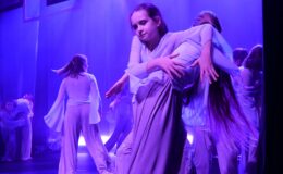 „Tajemniczy ogród”. Widowisko w wykonaniu grup artystycznych MDK (zdjęcia z przedstawienia i próby)