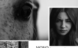 plakat-zaproszenie na wystawę fotografii Marzeny Radzanowskiej "MONOchromatycznie... między szeptem a ciszą" w Powiatowej Bibliotece Pedagogicznej w Działdowie