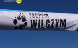 Bieg Pamięci Żołnierzy Wyklętych – Tropem Wilczym