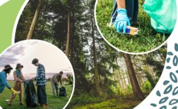 Wspólne wiosenne sprzątanie lasów – dołącz do akcji