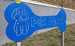 „Psi park” – wyjątkowe miejsce dla czworonogów