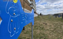 „Psi park” – wyjątkowe miejsce dla czworonogów