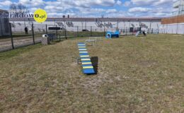 „Psi park” – wyjątkowe miejsce dla czworonogów