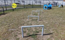 „Psi park” – wyjątkowe miejsce dla czworonogów