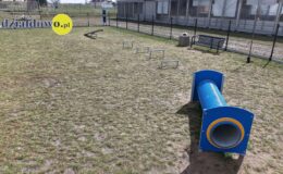 „Psi park” – wyjątkowe miejsce dla czworonogów