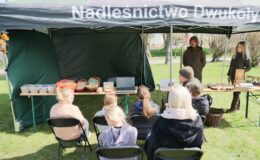Gra terenowa wokół żubrów