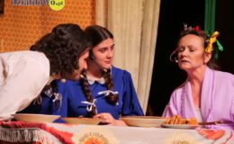Przedstawienie grupy teatralne Pewni Niepewni pt. „Pani Dulska przed sądem”