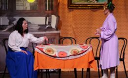 Przedstawienie grupy teatralne Pewni Niepewni pt. „Pani Dulska przed sądem”
