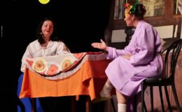 Przedstawienie grupy teatralne Pewni Niepewni pt. „Pani Dulska przed sądem”