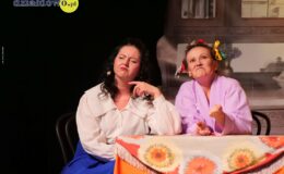 Przedstawienie grupy teatralne Pewni Niepewni pt. „Pani Dulska przed sądem”