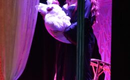 Przedstawienie grupy teatralne Pewni Niepewni pt. „Pani Dulska przed sądem”