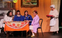 Przedstawienie grupy teatralne Pewni Niepewni pt. „Pani Dulska przed sądem”