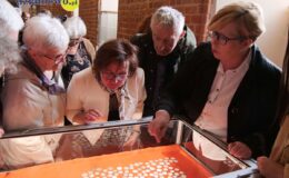 Prawdziwy skarb – srebrne monety z XVII wieku w Muzeum Pogranicza w Działdowie