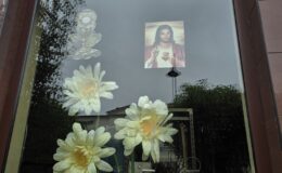 Procesja Bożego Ciała. Parafia pw. Podwyższenia Krzyża Świętego w Działdowie (4.06.2026)
