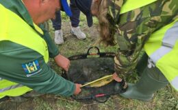 I Zawody Wędkarskie dla Dzieci i Młodzieży pod Patronatem Burmistrza Działdowa Grzegorza Mrowińskiego i Starosty Działdowskiego Pawła Cieślińskiego 