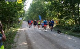 9. urodziny parkrun Działdowo, sportowe święto pełne energii