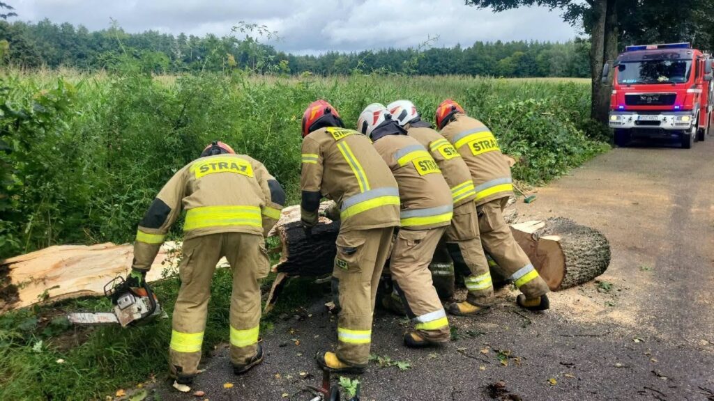strażacy usuwają powalone na drogę drzewo, w tle widać wóz strażacki