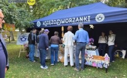 Rekordowa frekwencja i zabytkowe pojazdy. Za nami X jubileuszowy Zlot Pojazdów Zabytkowych i XI Jarmark w Działdowie