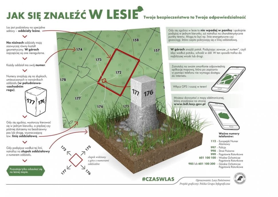 infografika przedstawiająca sposoby na znalezieni drogi z lasu, w przypadku gdybyśmy się tam zgubili