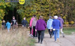 Jesienne Mistrzostwa Nordic Walking i marszu bez kijów w Działdowie