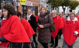 Październikowe Dni Walki z Rakiem Piersi i XVII Marsz Życia i Nadziei
